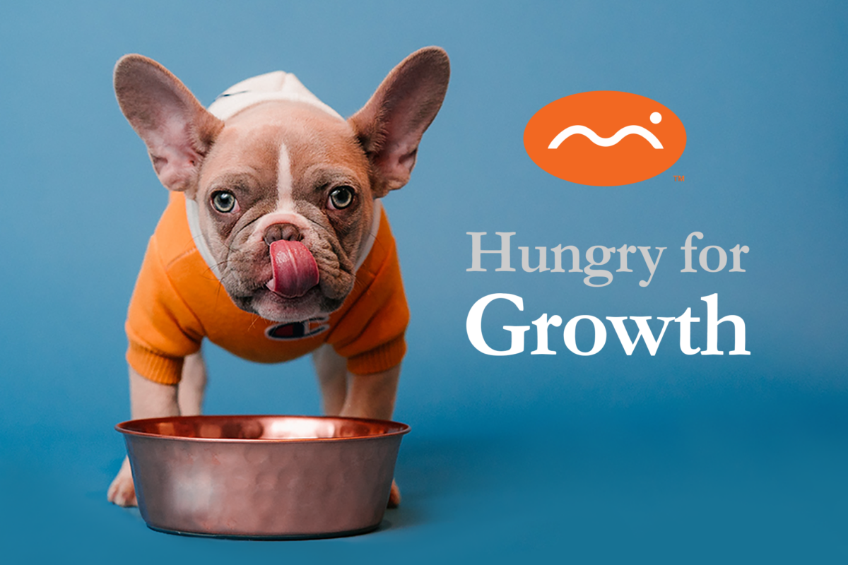 Hungry for Growth: How Fractional or Contract…