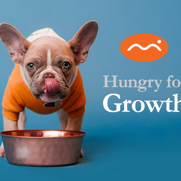 Hungry for Growth: How Fractional or Contract Marketing Can Help You Scale Your Business