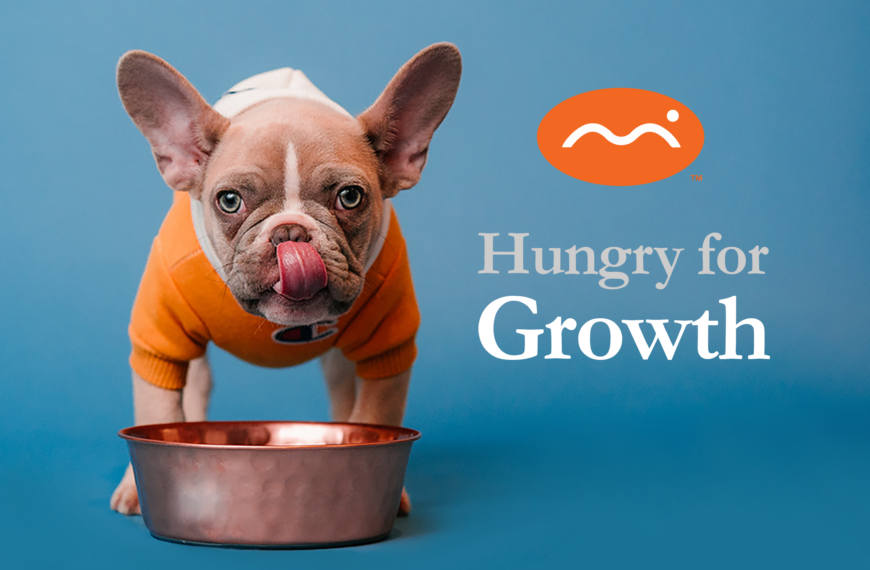 Hungry for Growth: How Fractional or Contract Marketing Can Help You Scale Your Business